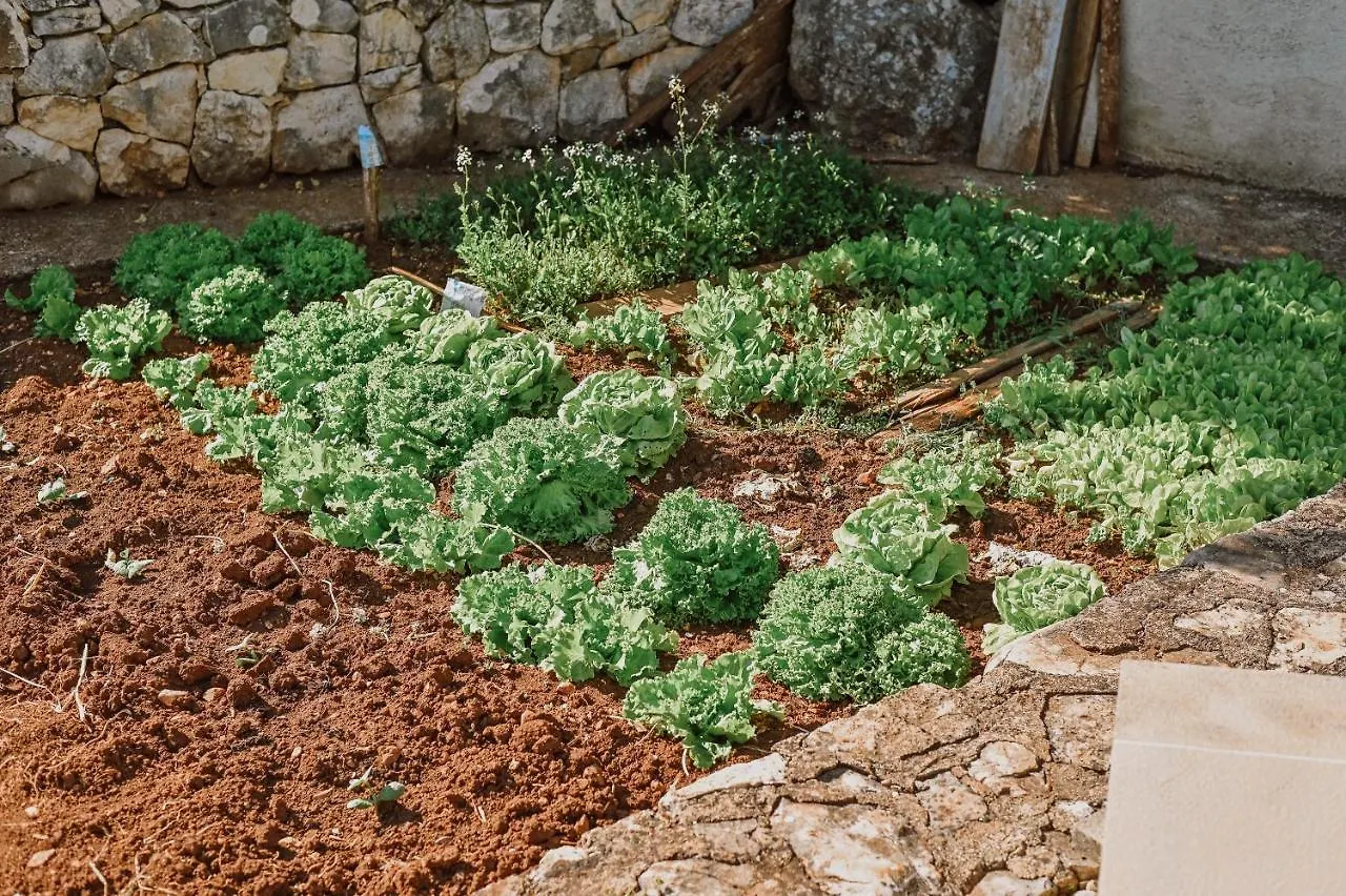 Vila Stala Malinska Croazia